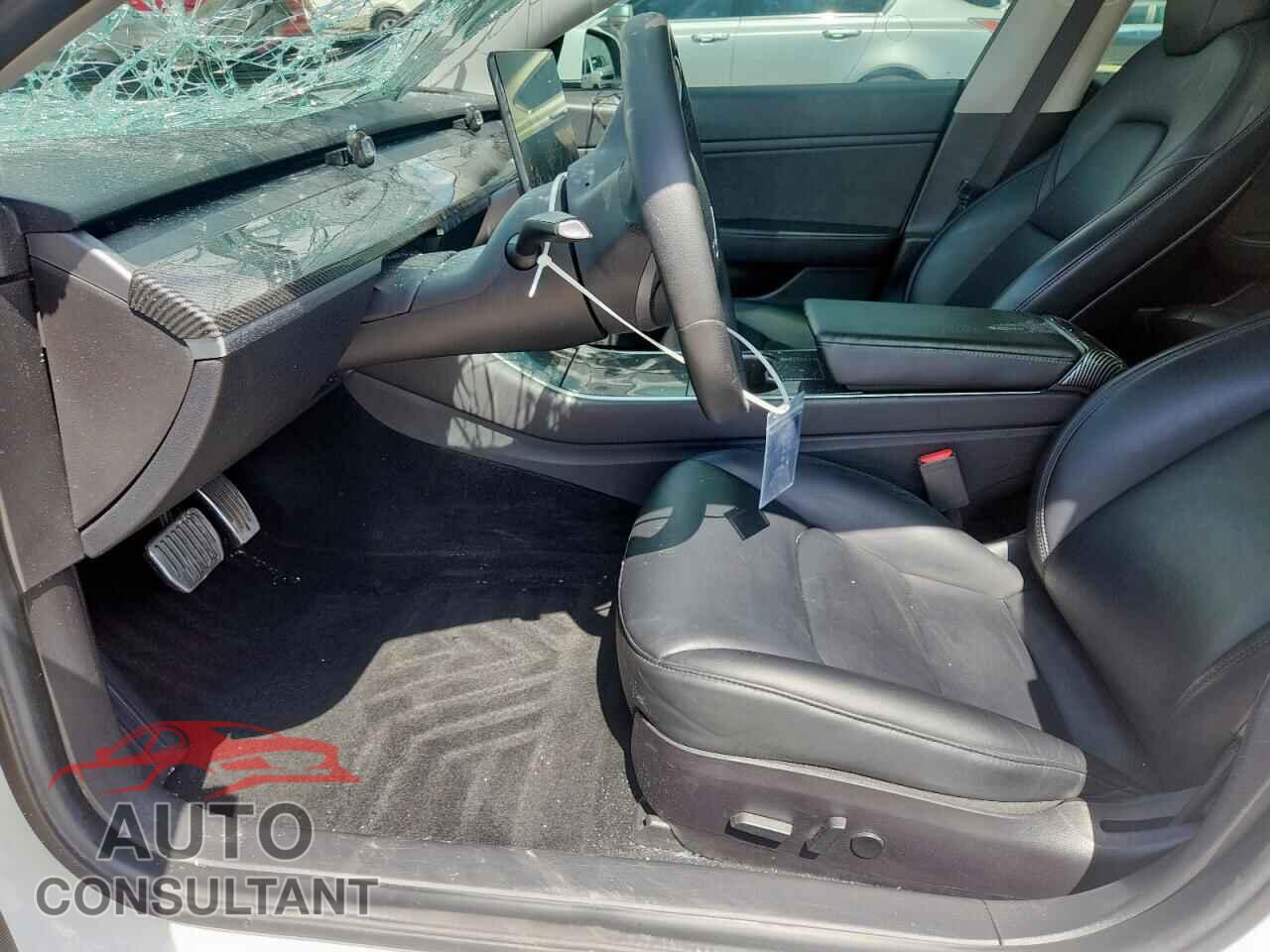 TESLA MODEL 3 2019 - 5YJ3E1EB2KF408339