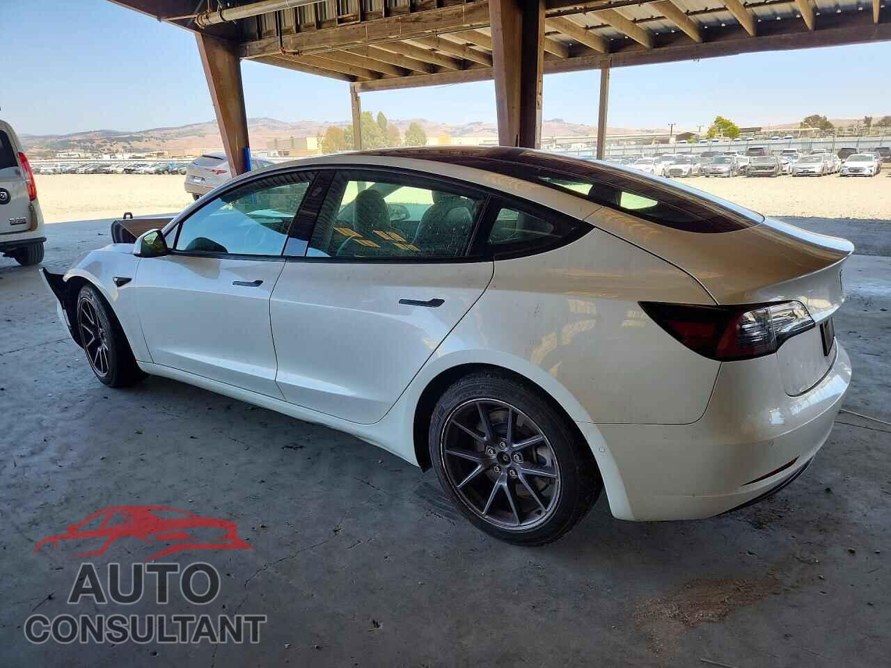 TESLA MODEL 3 2021 - 5YJ3E1EA7MF942821