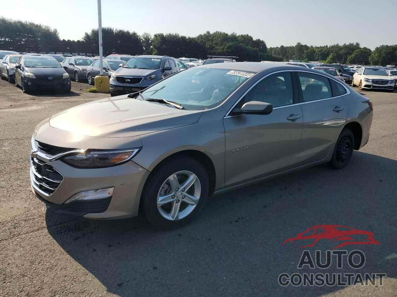 CHEVROLET MALIBU 2022 - 1G1ZD5ST5NF177043