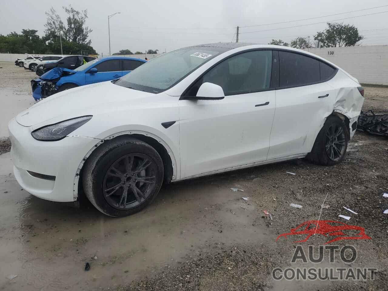 TESLA MODEL Y 2024 - 7SAYGDED2RF170380