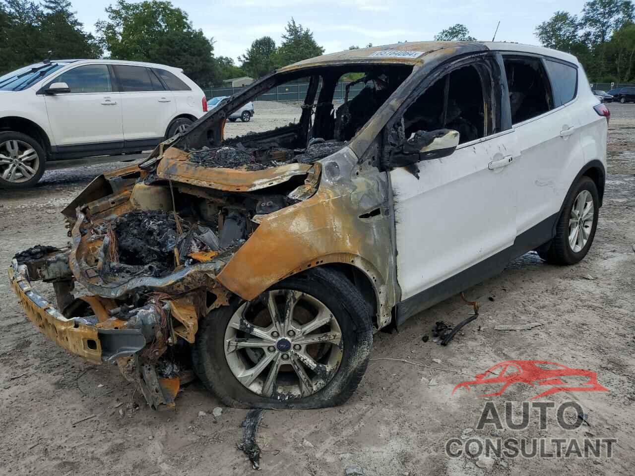 FORD ESCAPE 2019 - 1FMCU0GD8KUB67336