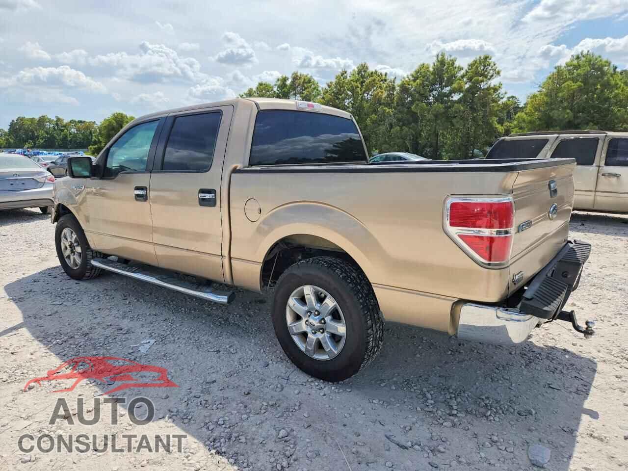 FORD F150 2013 - 1FTFW1CFXDFD55663