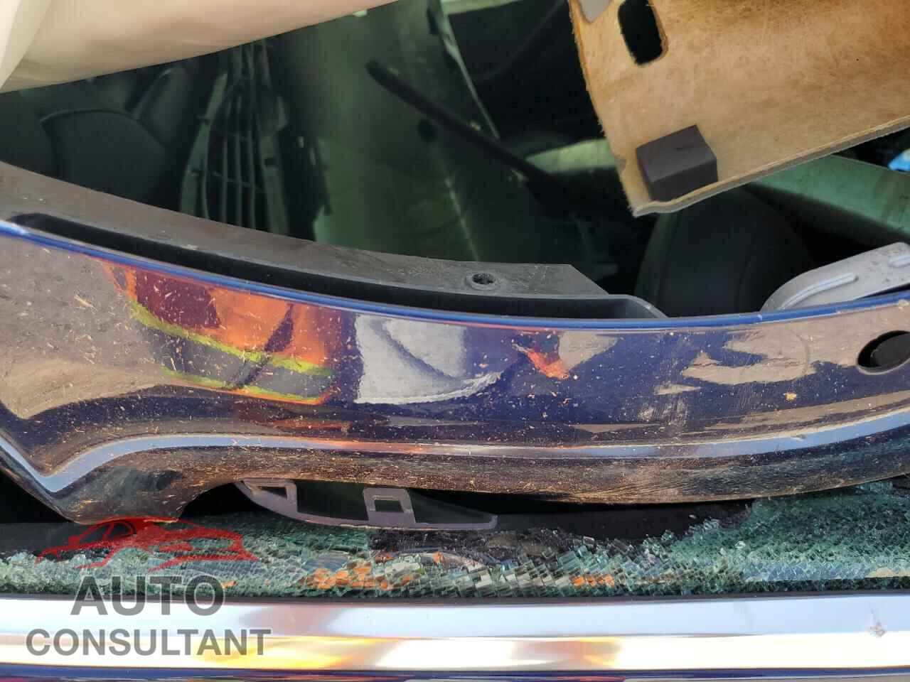 TESLA MODEL 3 2019 - 5YJ3E1EA3KF326143