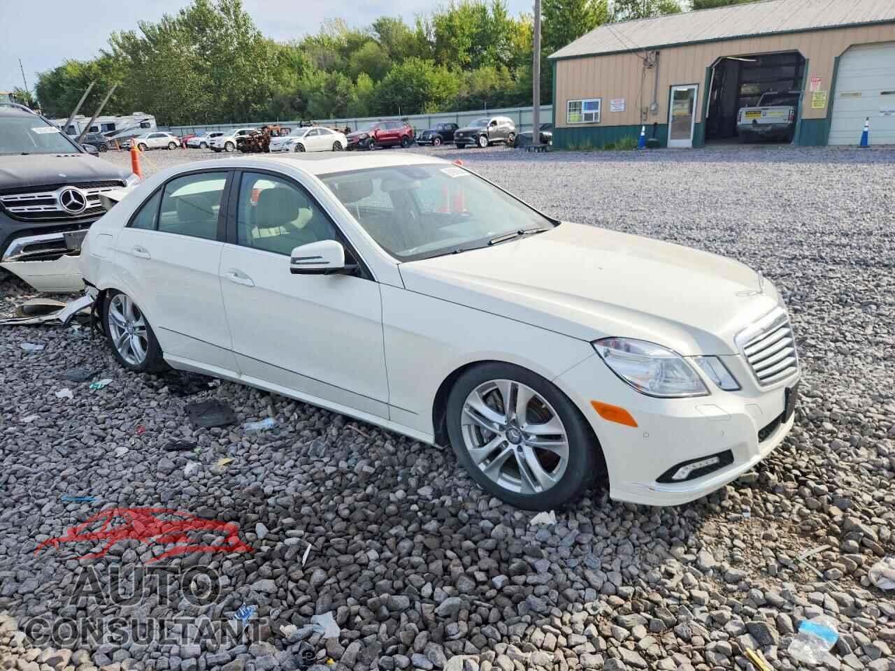 MERCEDES-BENZ E-CLASS 2010 - WDDHF7CB9AA168664