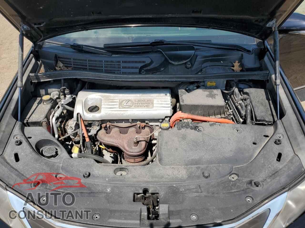 LEXUS HS 2010 - JTHBB1BA2A2020012