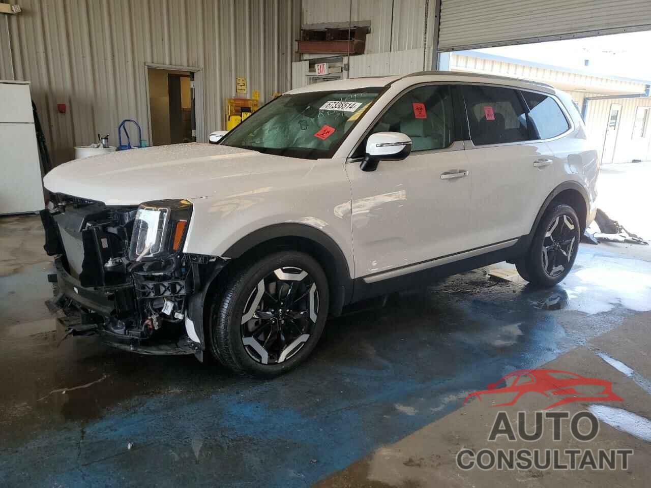 KIA TELLURIDE 2024 - 5XYP64GC2RG527176