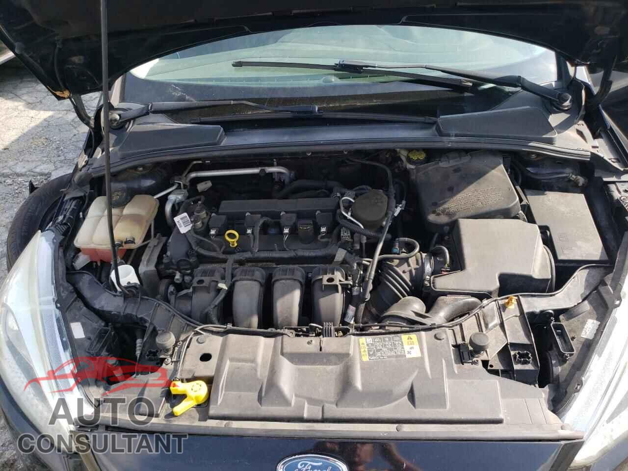 FORD FOCUS 2016 - 1FADP3K26GL309595