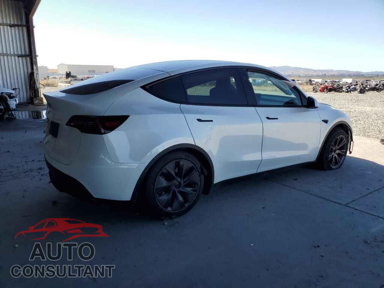 TESLA MODEL Y 2024 - 7SAYGDED1RF165686