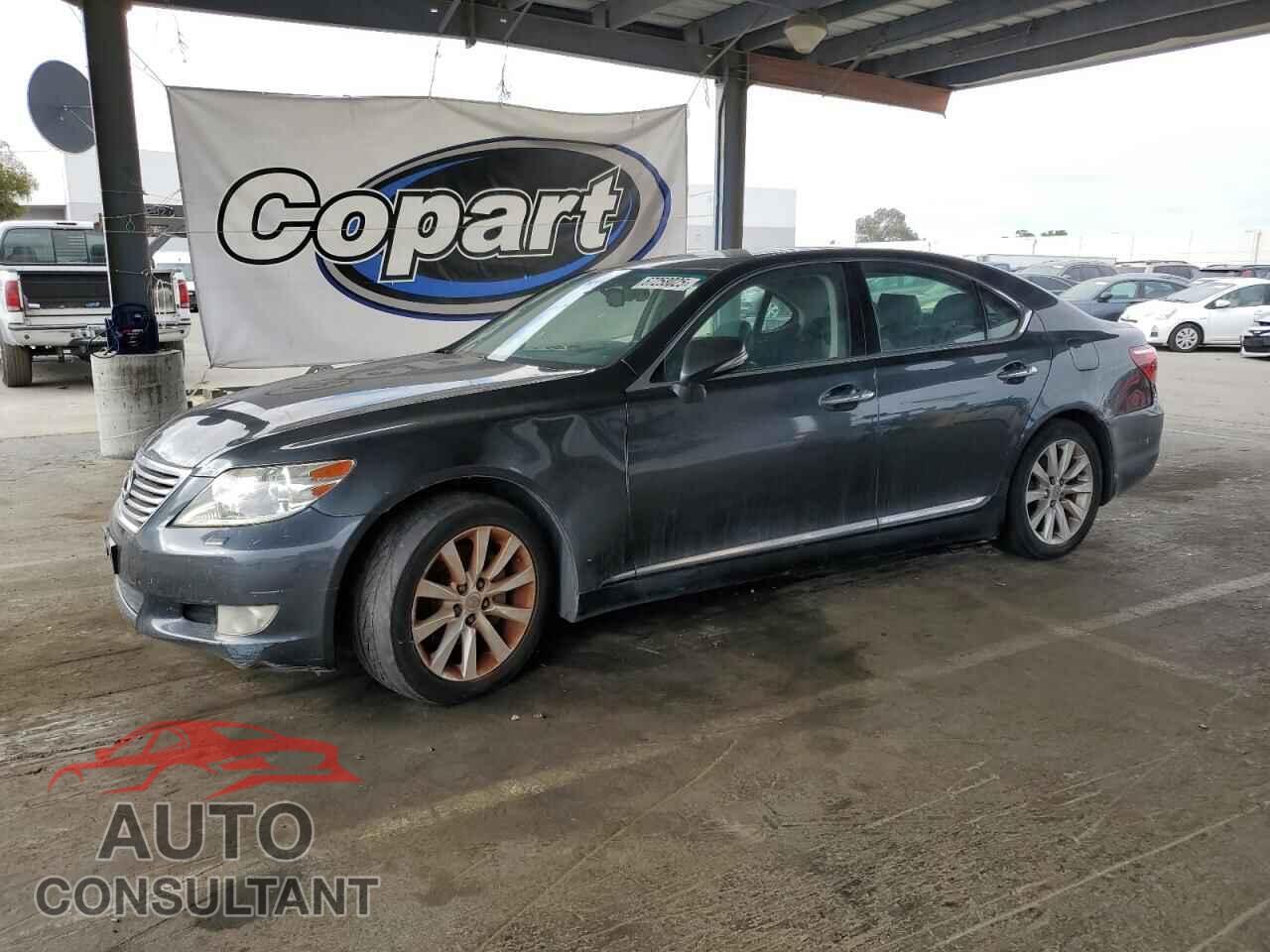 LEXUS LS460 2010 - JTHBL5EF7A5099400