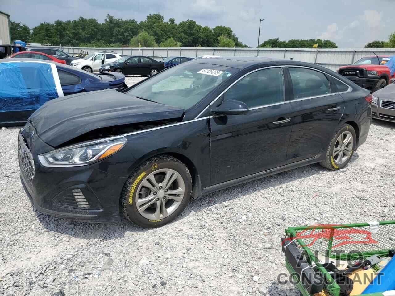 HYUNDAI SONATA 2019 - 5NPE34AF8KH819688