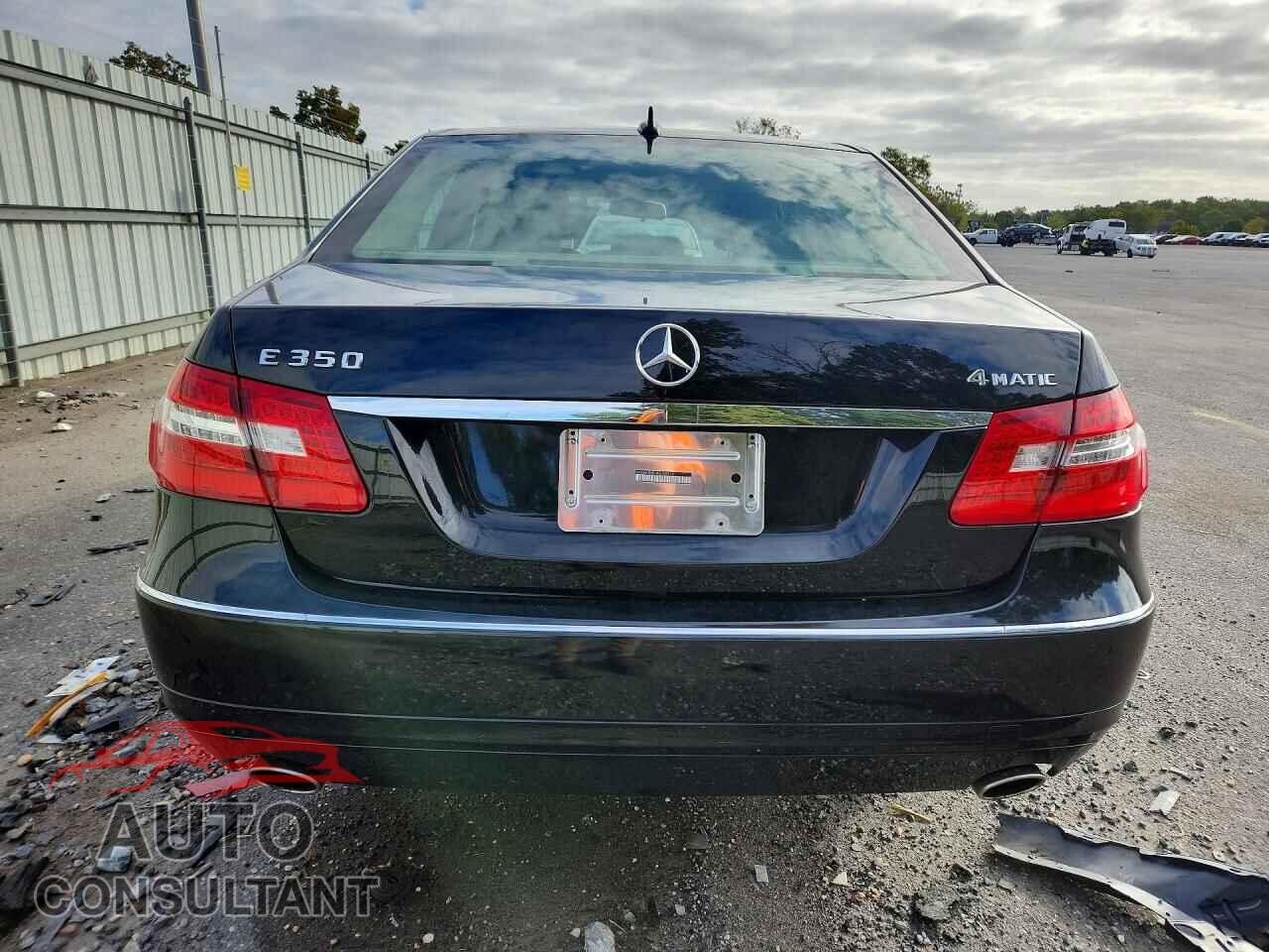 MERCEDES-BENZ E-CLASS 2010 - WDDHF8HB1AA165515
