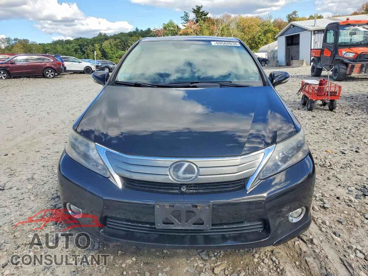 LEXUS HS 2010 - JTHBB1BA4A2014406