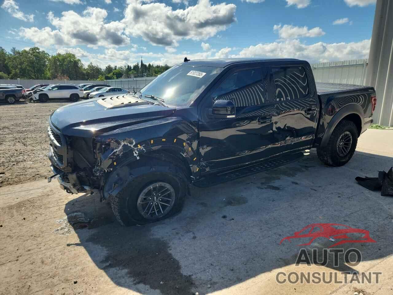 FORD F150 2019 - 1FTFW1RG3KFA04042