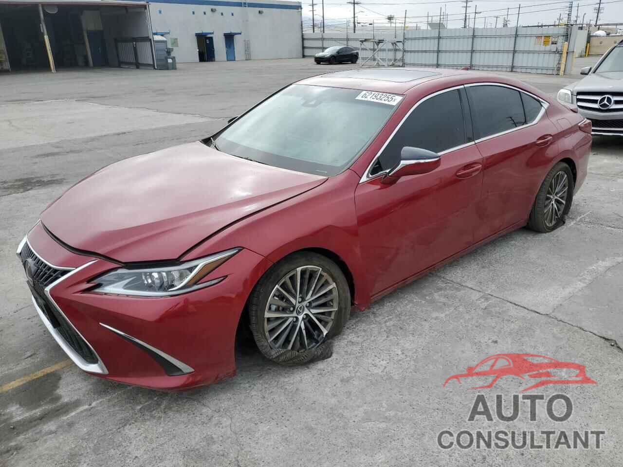 LEXUS ES300 2025 - 58ADA1C18SU054414
