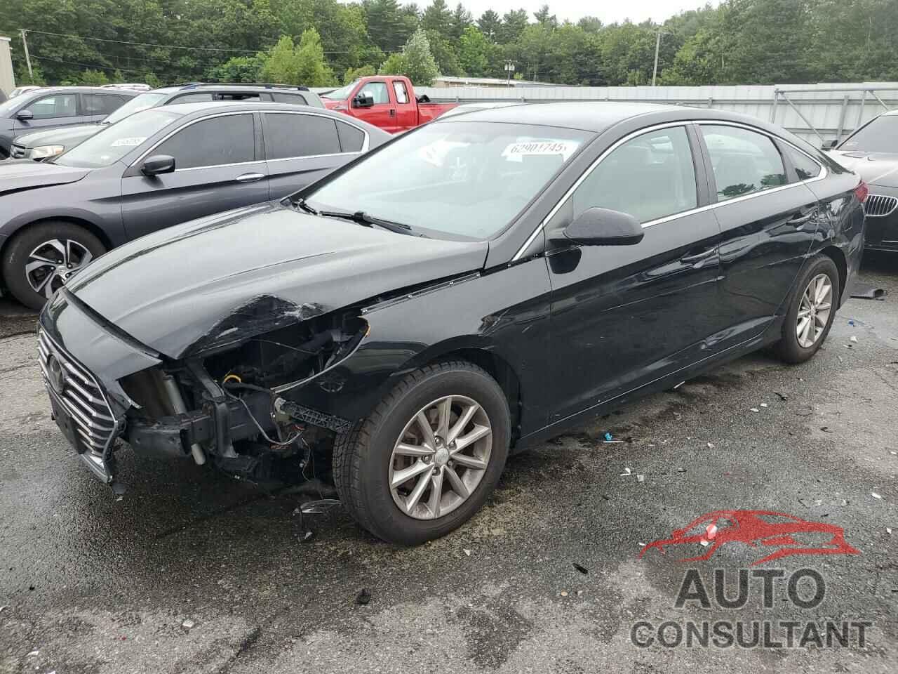 HYUNDAI SONATA 2019 - 5NPE24AF3KH745874