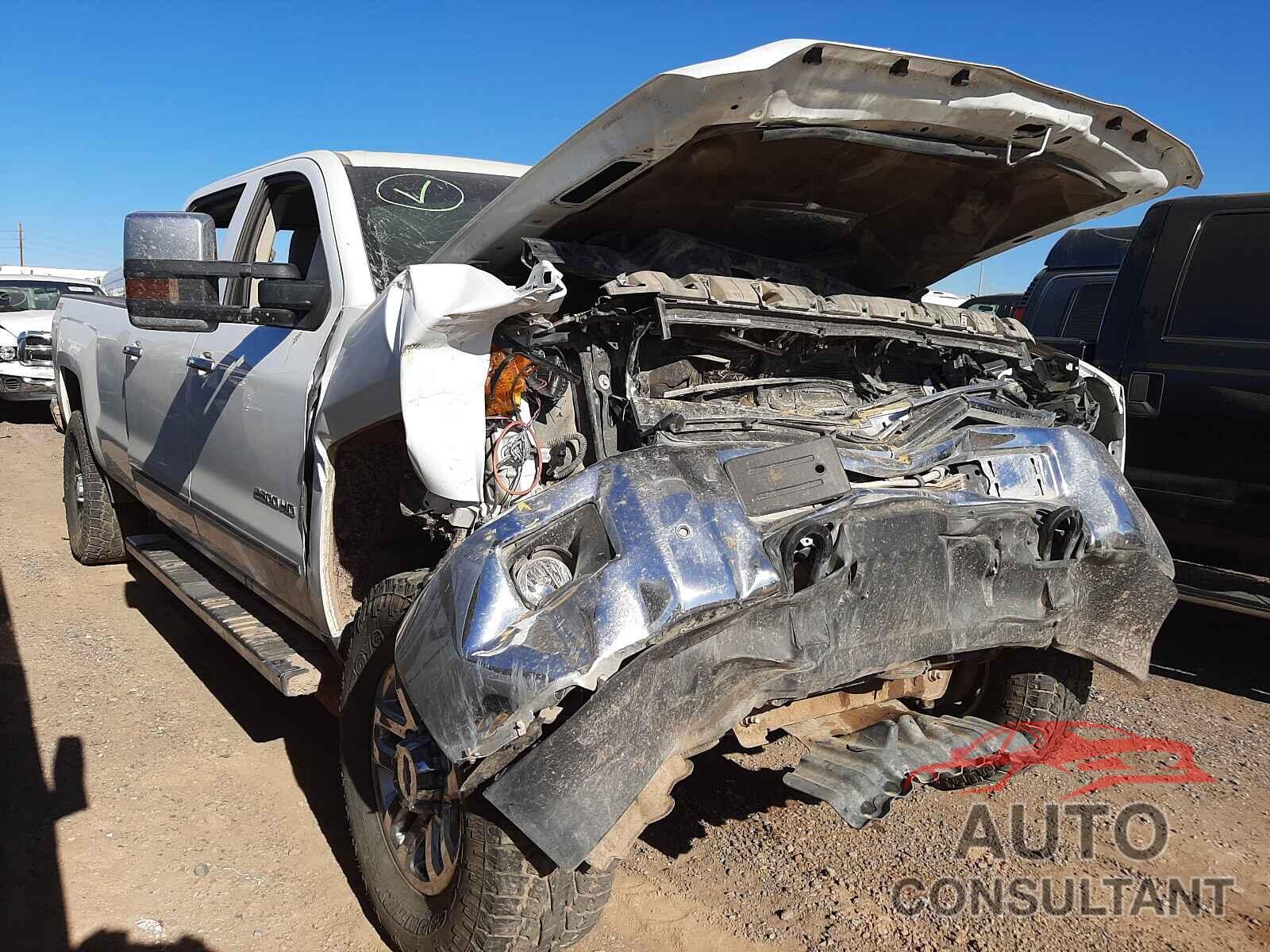 CHEVROLET SILVERADO 2019 - 1GC1KTEY6KF226705