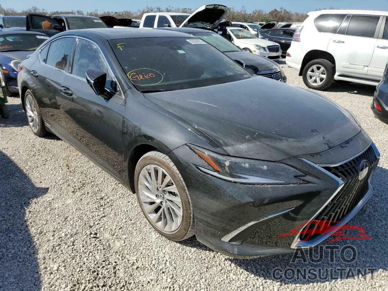 LEXUS ES300 2022 - 58AFA1C16NU018038