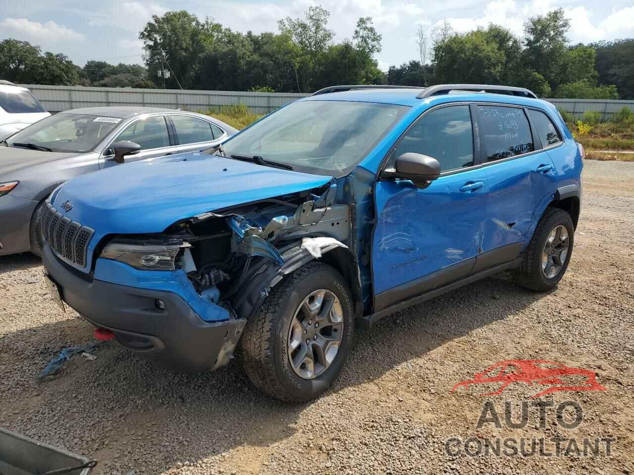 JEEP CHEROKEE 2019 - 1C4PJMBN1KD230248