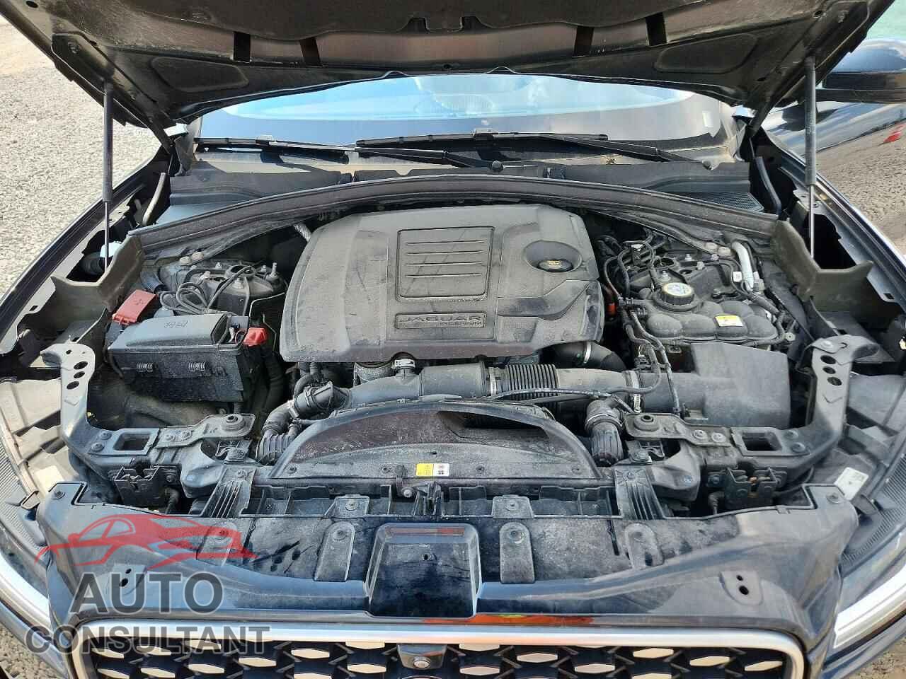 JAGUAR F-PACE 2021 - SADCJ2EX3MA686213