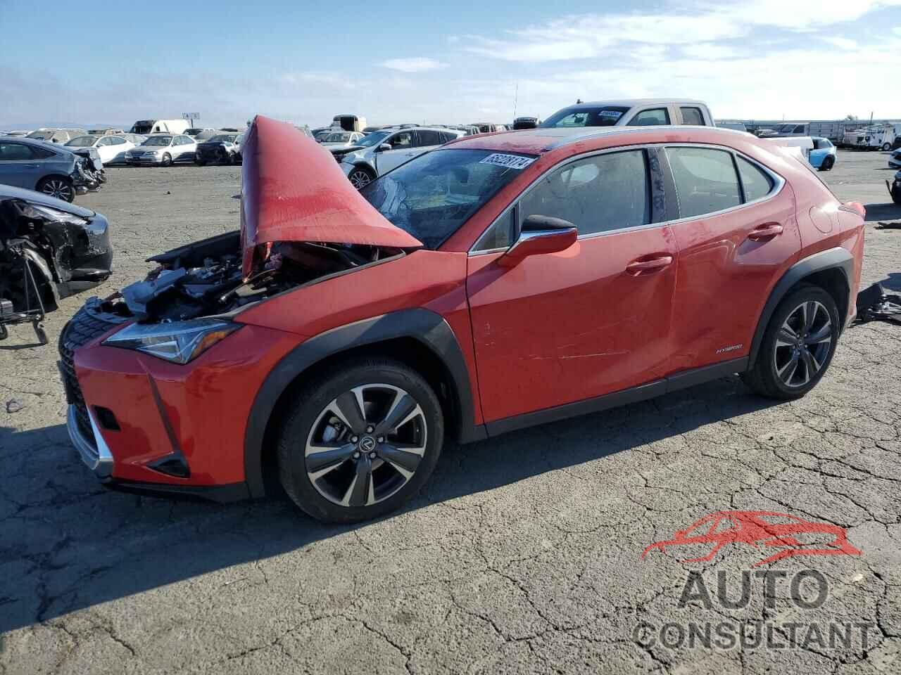 LEXUS UX 250H 2019 - JTHU9JBH9K2016008