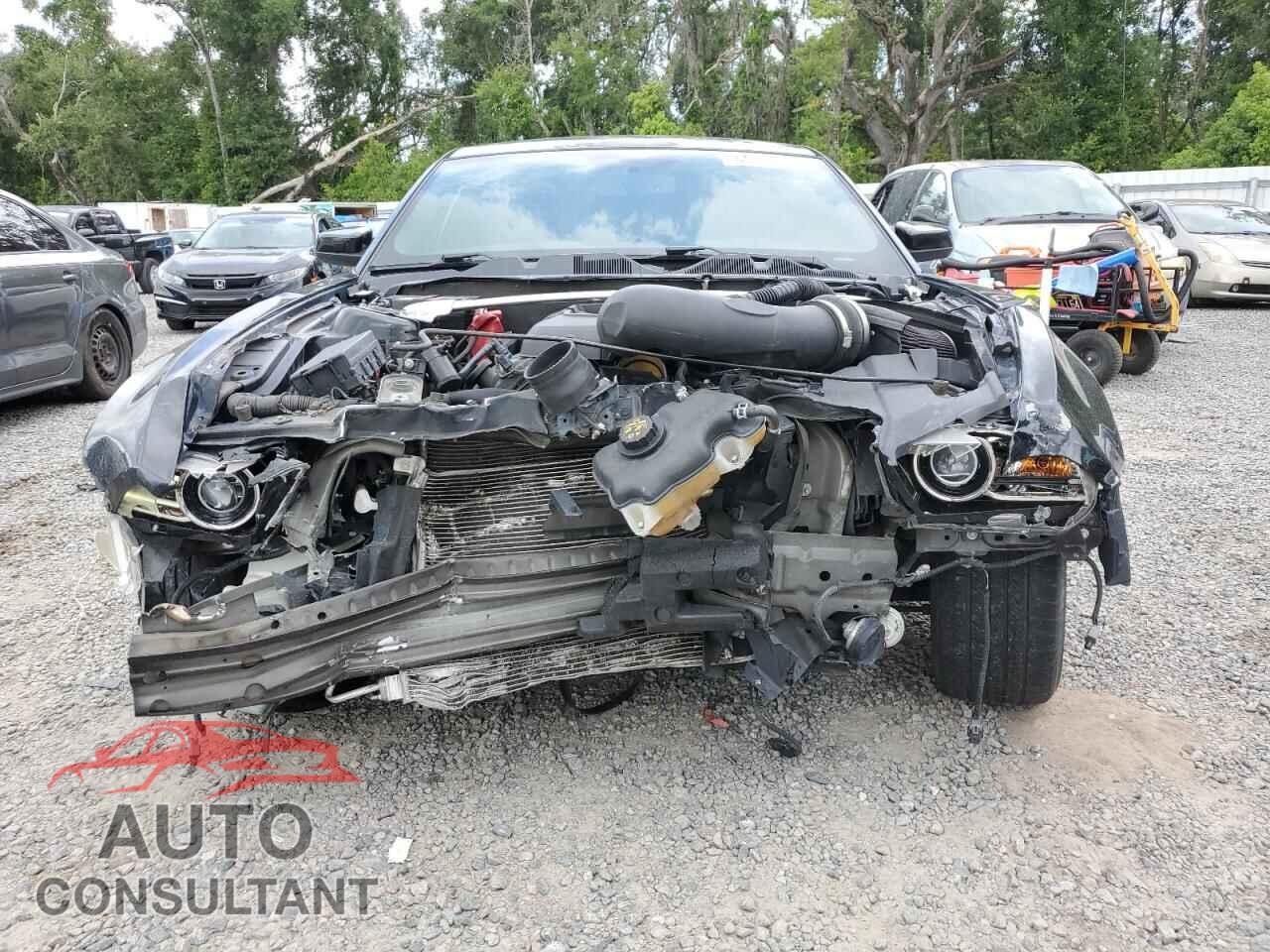 FORD MUSTANG 2014 - 1ZVBP8CF3E5308774