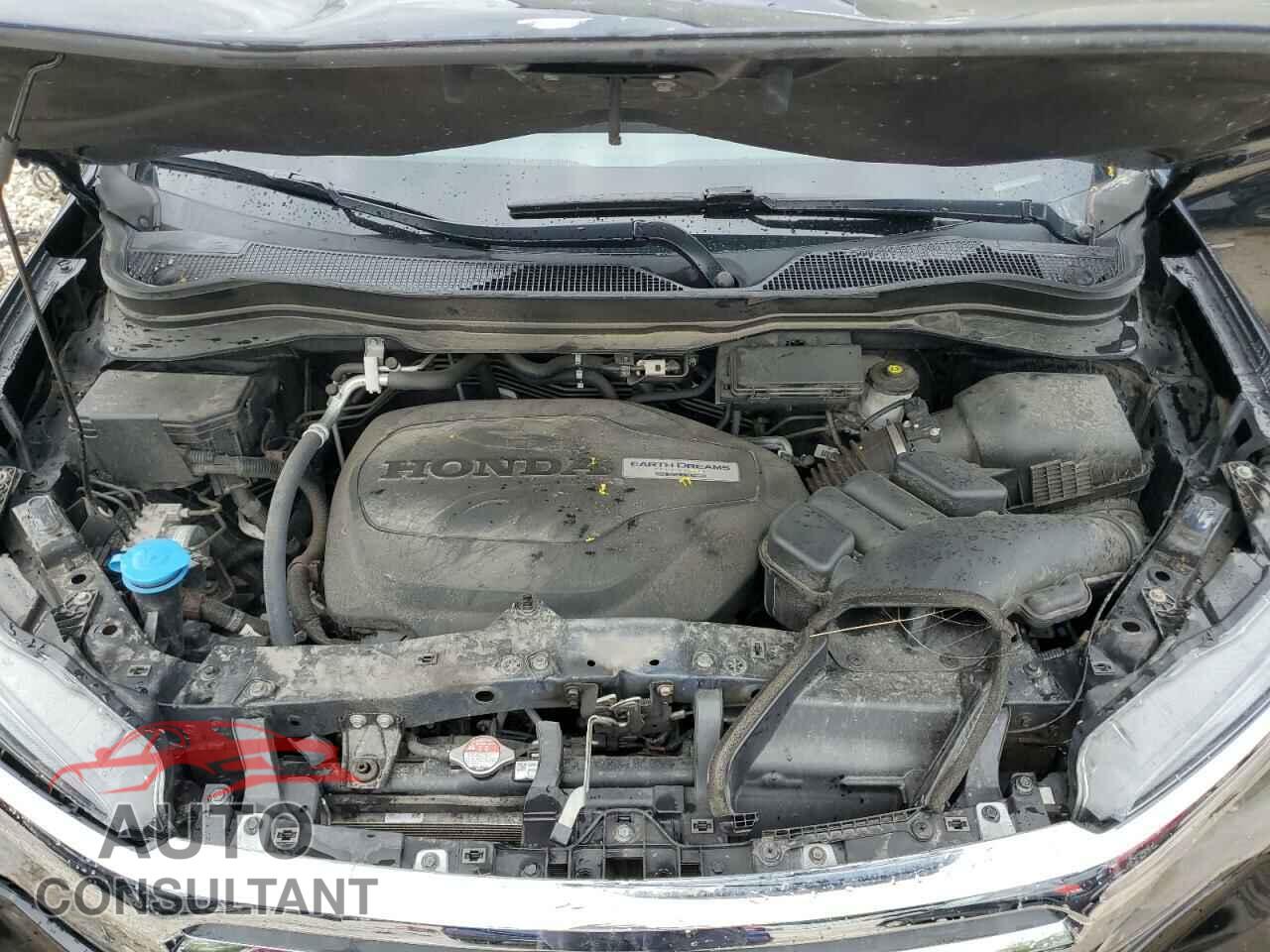 HONDA RIDGELINE 2019 - 5FPYK3F10KB040590