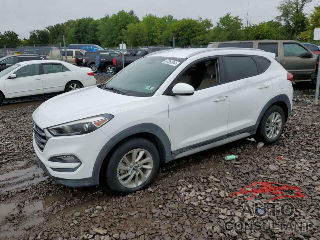 HYUNDAI TUCSON 2017 - KM8J3CA42HU553666