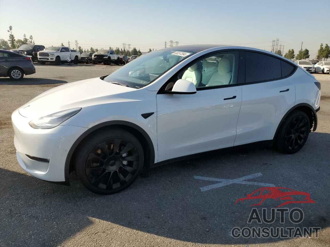 TESLA MODEL Y 2021 - 5YJYGDEE9MF231125