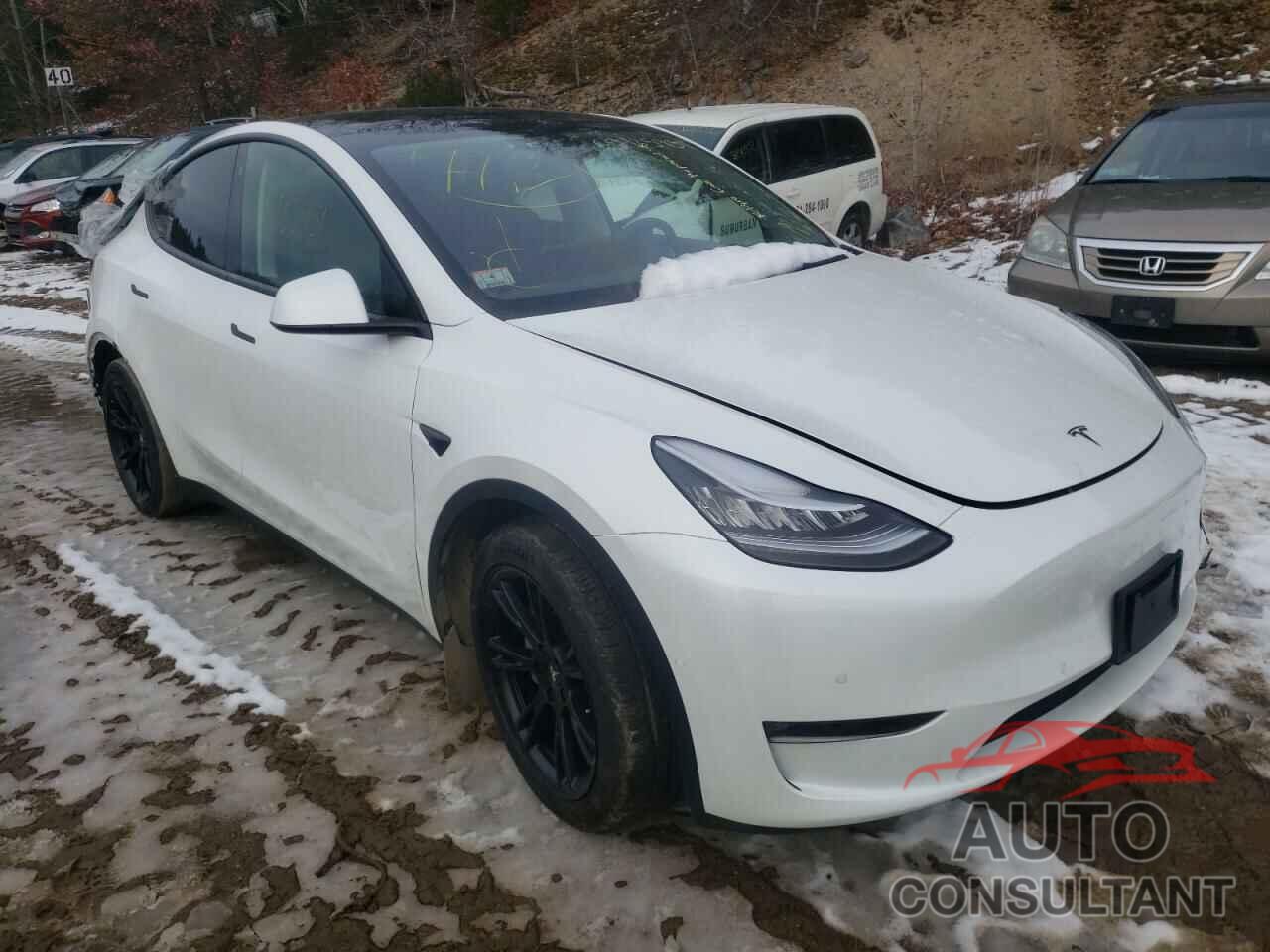 TESLA MODEL Y 2021 - 5YJYGAEE8MF146498