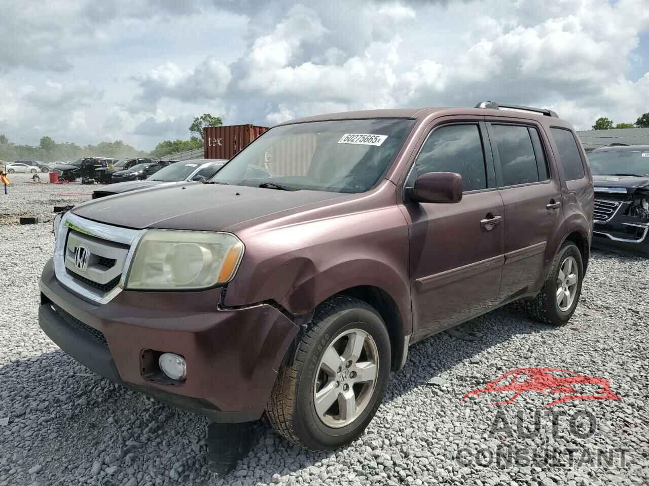 HONDA PILOT 2010 - 5FNYF4H45AB007528