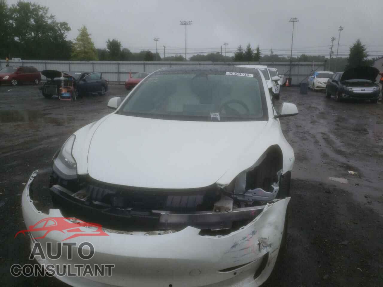TESLA MODEL 3 2021 - 5YJ3E1EB9MF862526