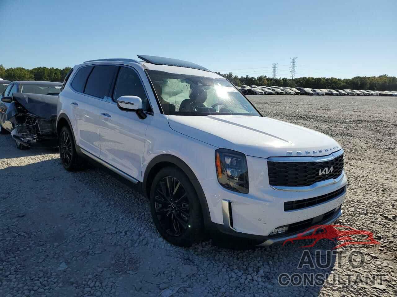 KIA TELLURIDE 2022 - 5XYP54HC4NG278472