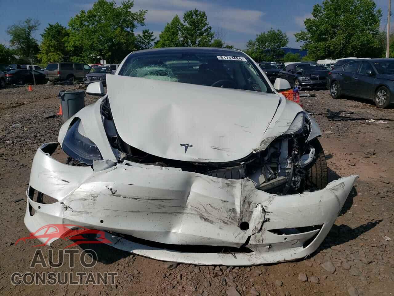 TESLA MODEL 3 2021 - 5YJ3E1EB8MF919072