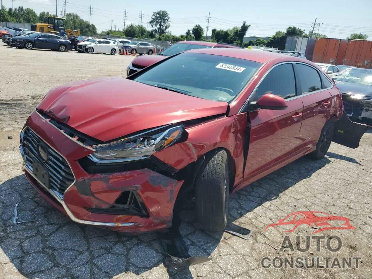 HYUNDAI SONATA 2019 - 5NPE24AF1KH755738