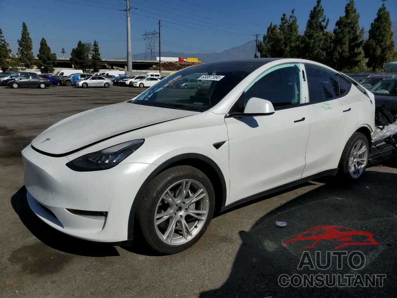 TESLA MODEL Y 2021 - 5YJYGAEE8MF160014