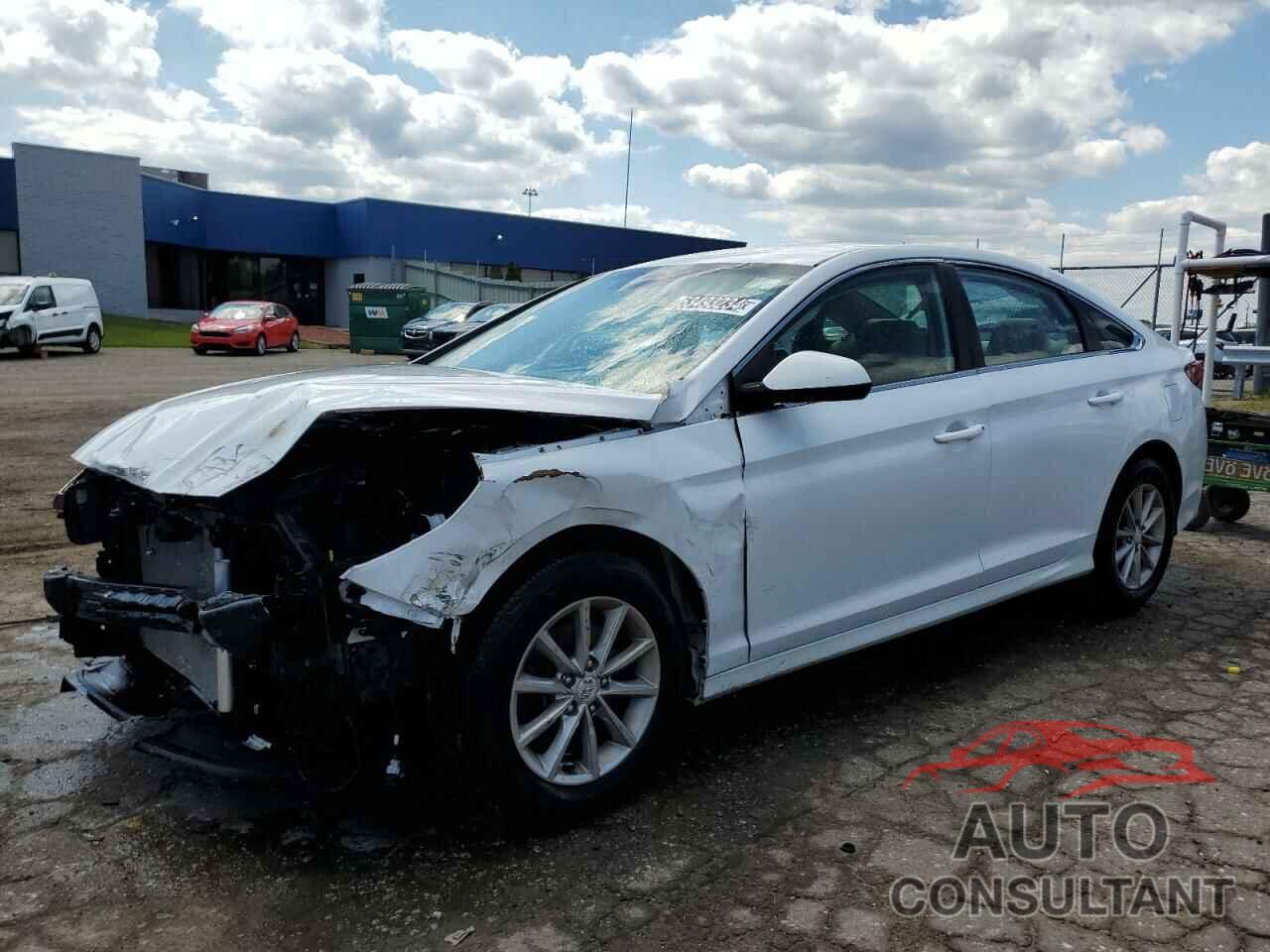 HYUNDAI SONATA 2019 - 5NPE24AF1KH783538