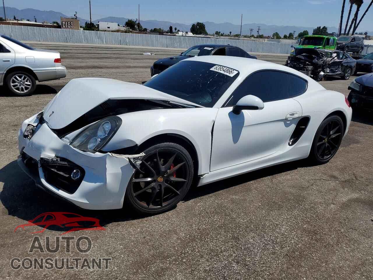 PORSCHE CAYMAN 2015 - WP0AA2A84FK162003
