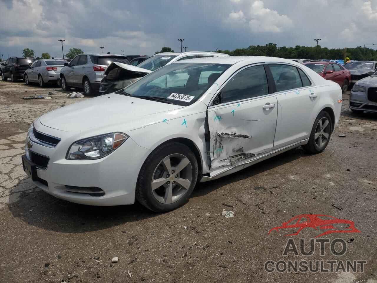 CHEVROLET MALIBU 2011 - 1G1ZC5EU5BF383711