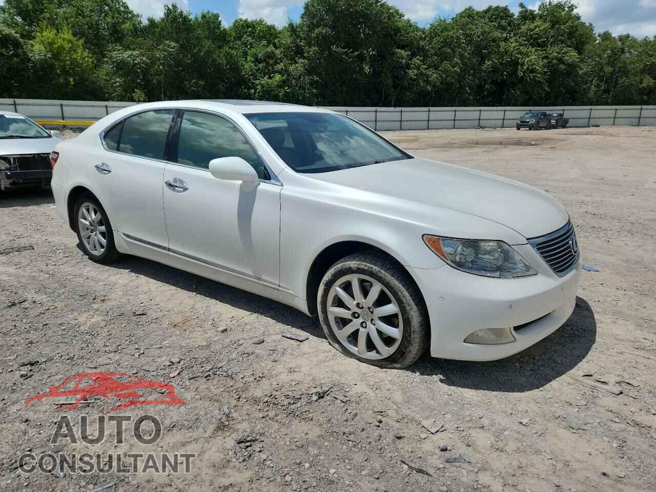 LEXUS LS460 2009 - JTHBL46F095090283