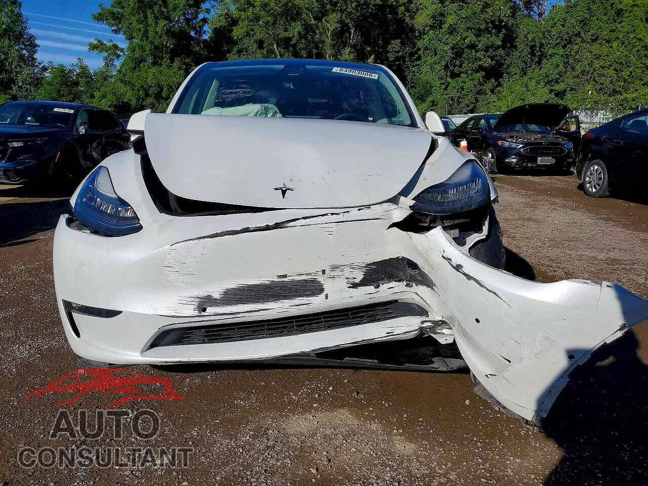 TESLA MODEL Y 2022 - 7SAYGDEEXNF434366