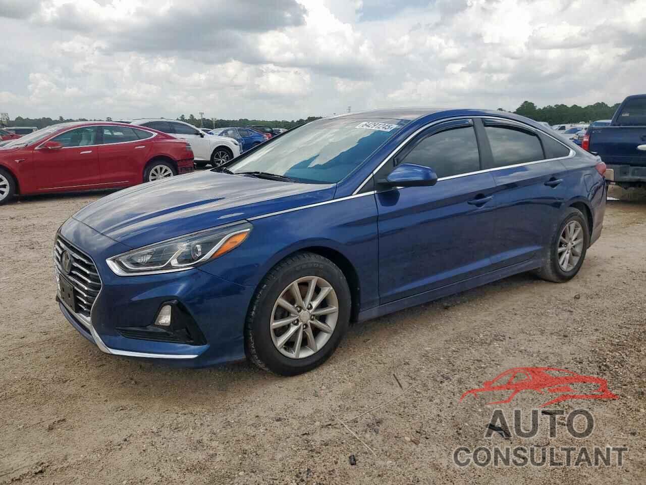 HYUNDAI SONATA 2019 - 5NPE24AF7KH765853
