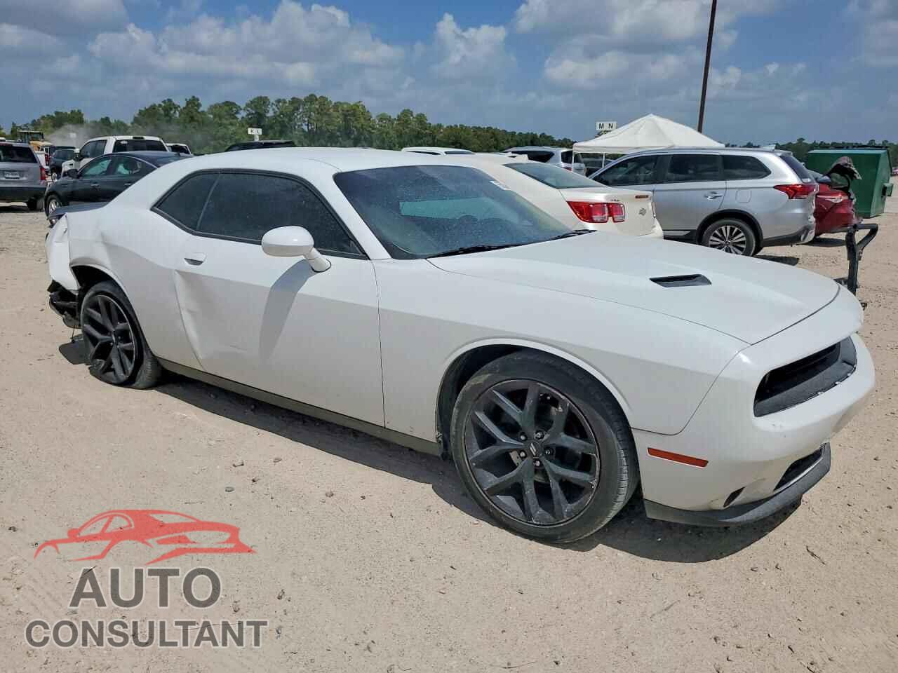 DODGE CHALLENGER 2019 - 2C3CDZAG3KH557778
