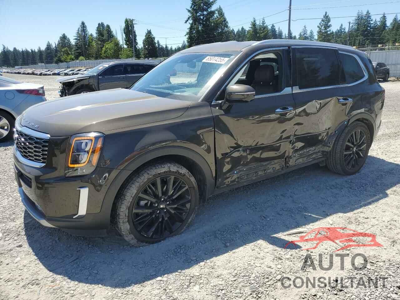 KIA TELLURIDE 2020 - 5XYP5DHC6LG051409