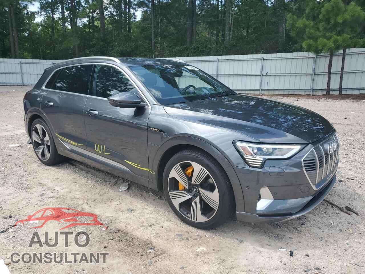 AUDI E-TRON 2019 - WA1VAAGEXKB007341