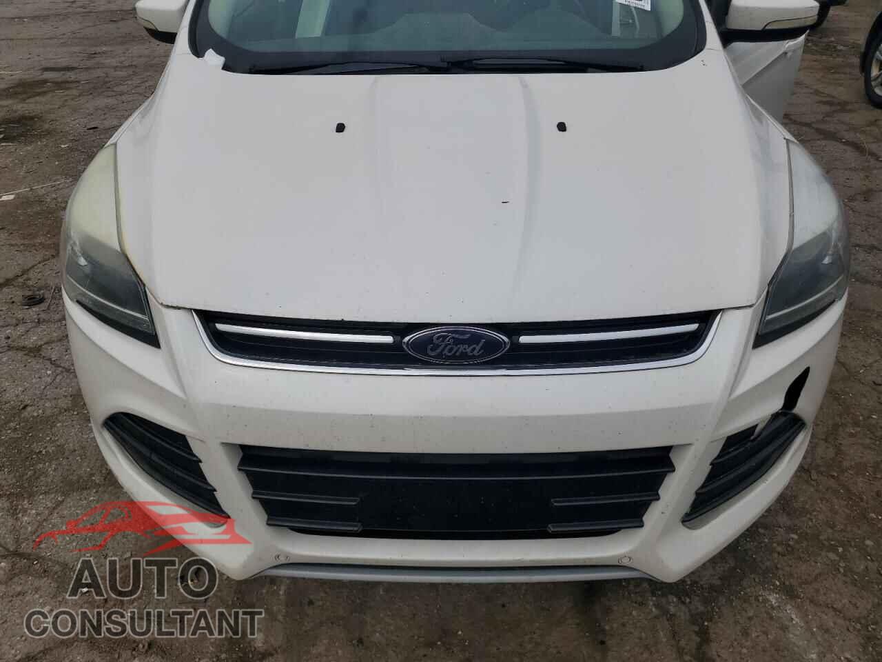 FORD ESCAPE 2014 - 1FMCU0JX5EUC19920