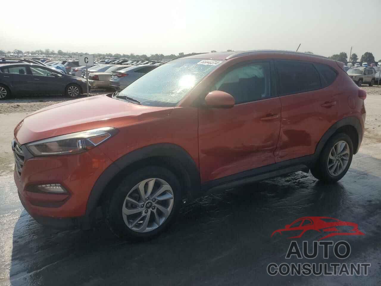 HYUNDAI TUCSON 2016 - KM8J33A43GU117116