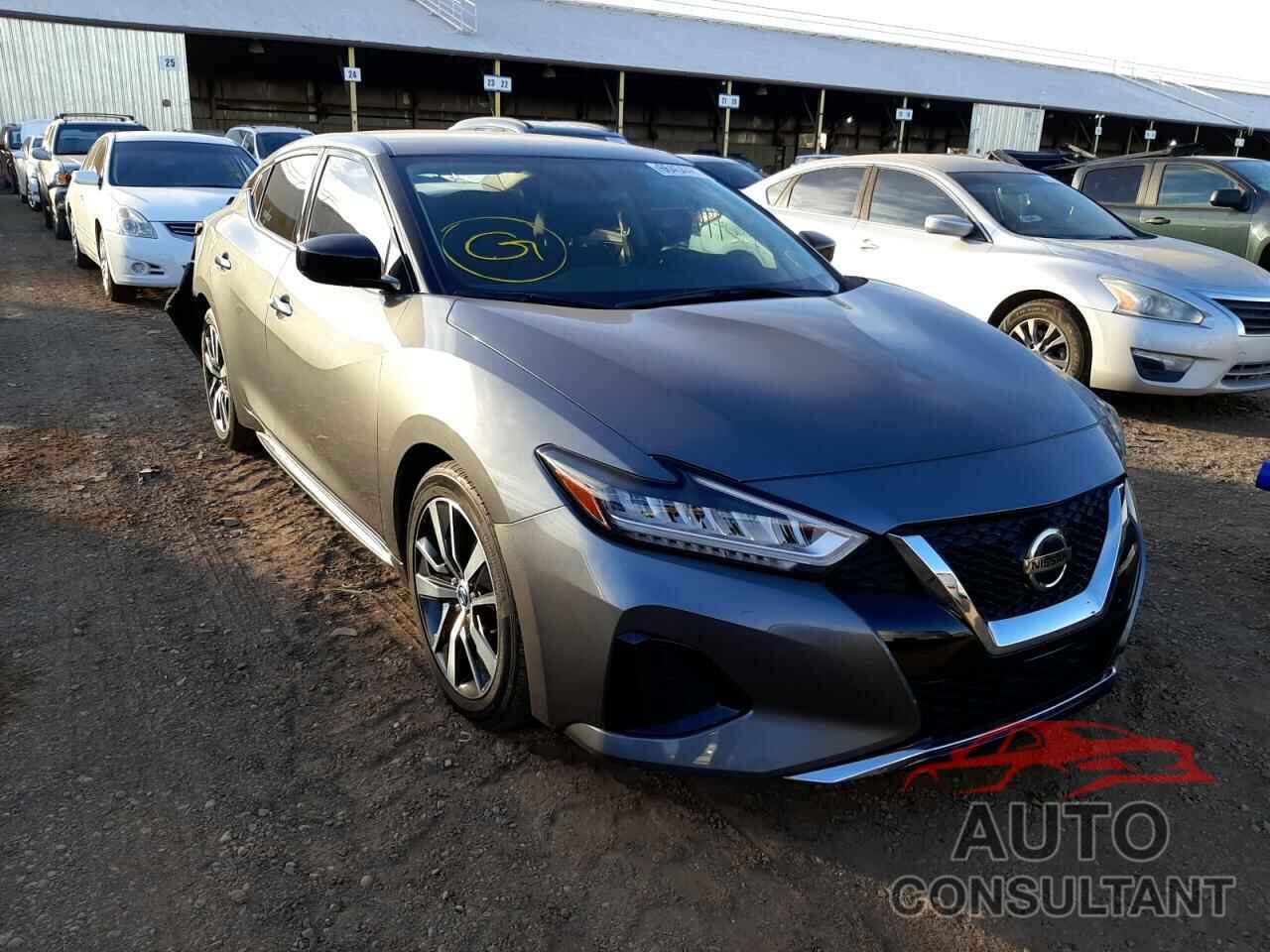 NISSAN MAXIMA 2019 - 1N4AA6AV5KC373539