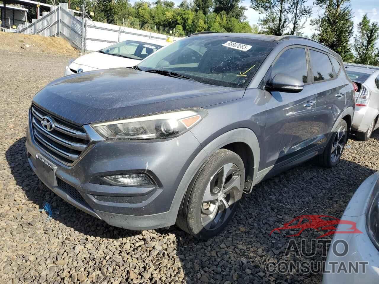HYUNDAI TUCSON 2016 - KM8J33A23GU240106