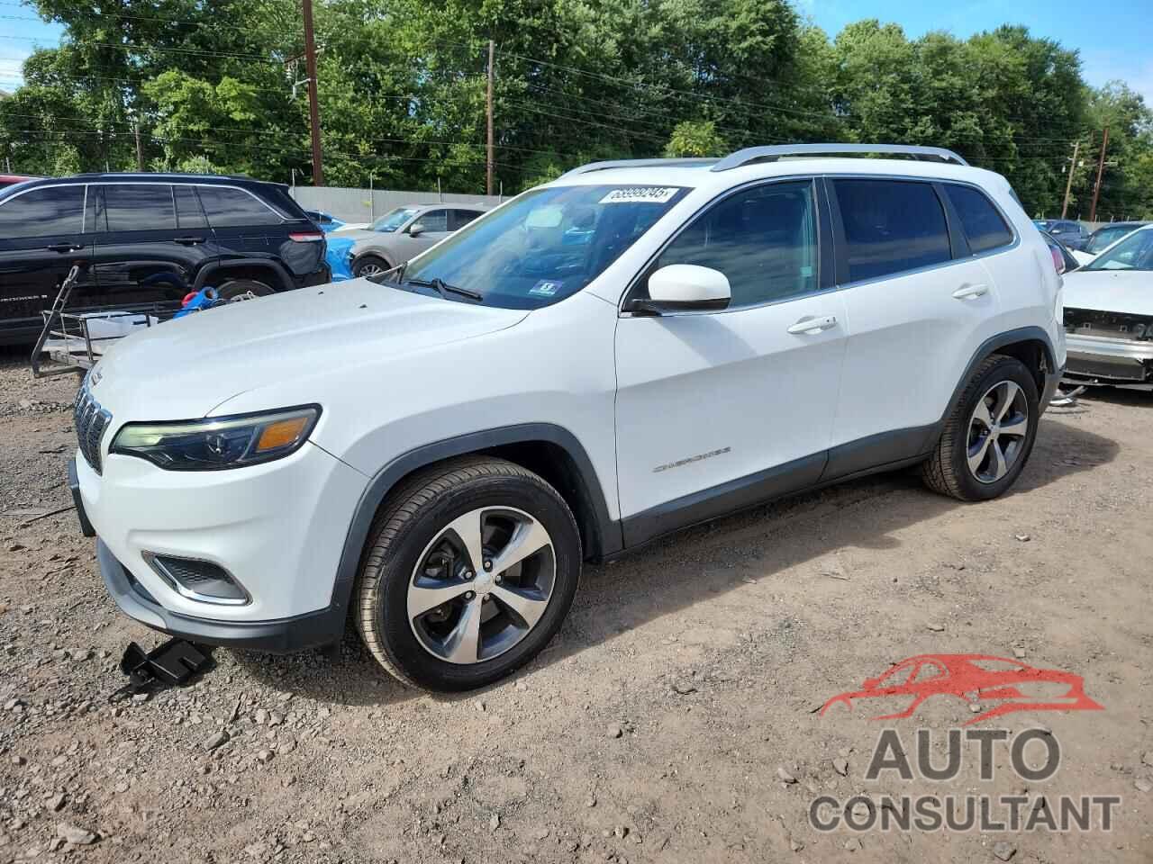 JEEP GRAND CHER 2019 - 1C4PJMDX3KD138542