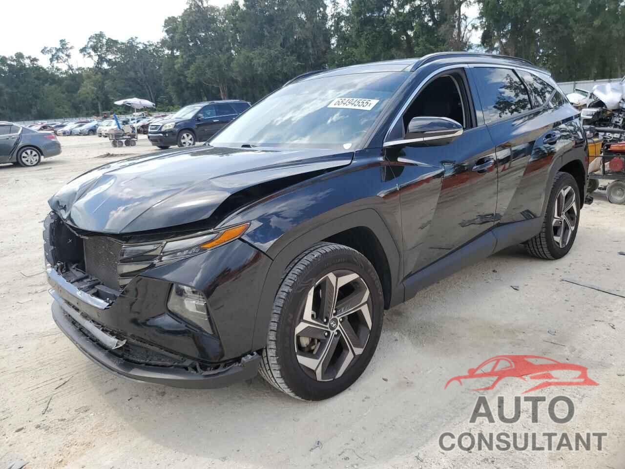 HYUNDAI TUCSON 2023 - 5NMJECAE9PH202590